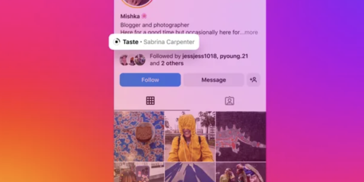 Instagram Introduces New Feature to Add Music to Your Profile